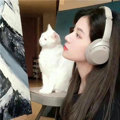 别扭合租房